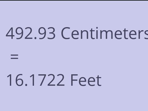 492.93 CM TO FEET