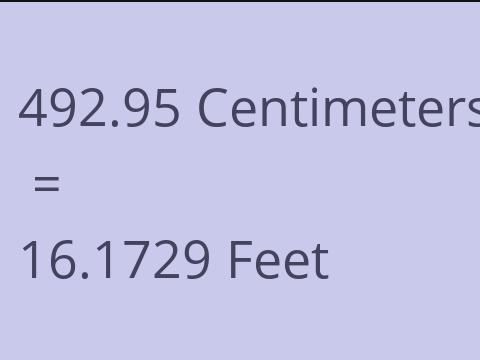 492.95 CM TO FEET