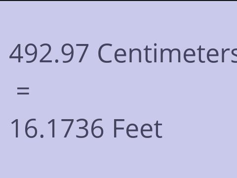 492.97 CM TO FEET