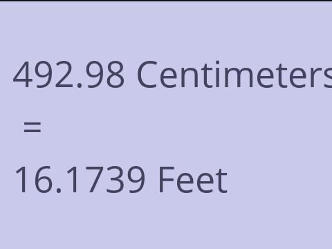 492.98 CM TO FEET