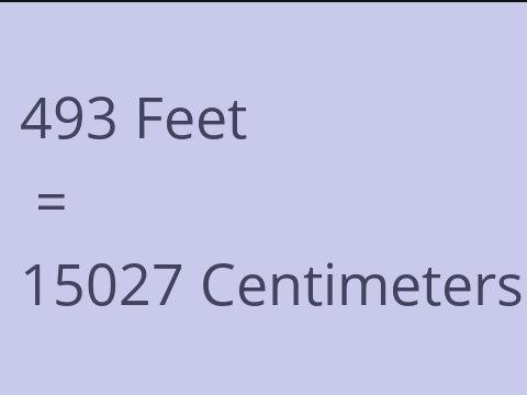 493 FEET TO CM