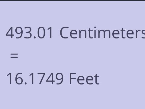 493.01 CM TO FEET