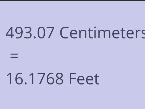 493.07 CM TO FEET