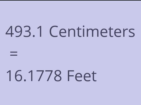 493.1 CM TO FEET