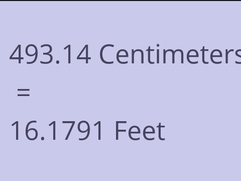 493.14 CM TO FEET