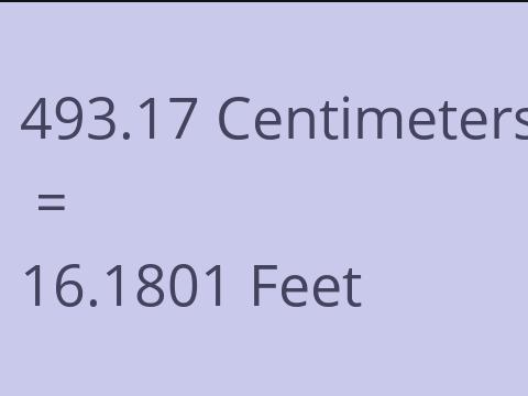 493.17 CM TO FEET