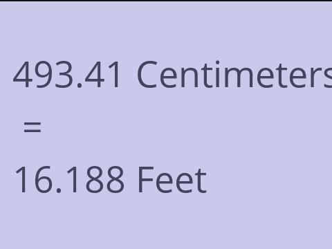 493.41 CM TO FEET