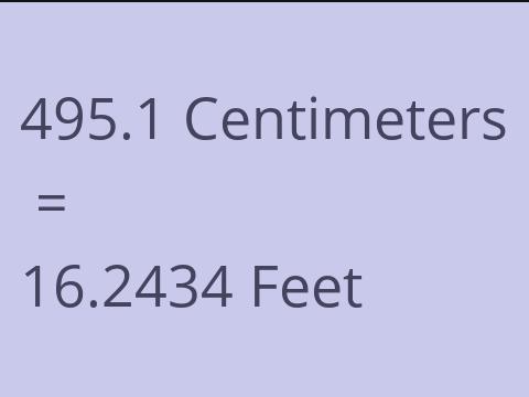 495.1 CM TO FEET