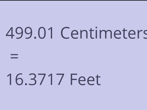 499.01 CM TO FEET