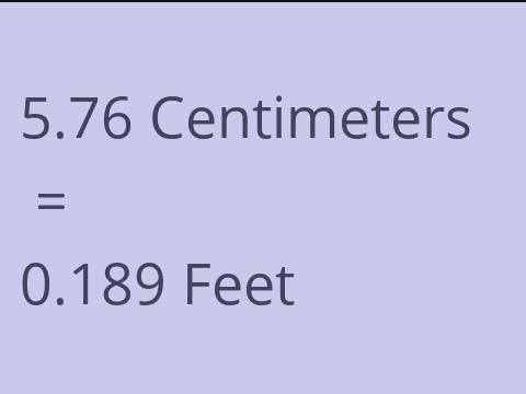 5.76 CM TO FEET