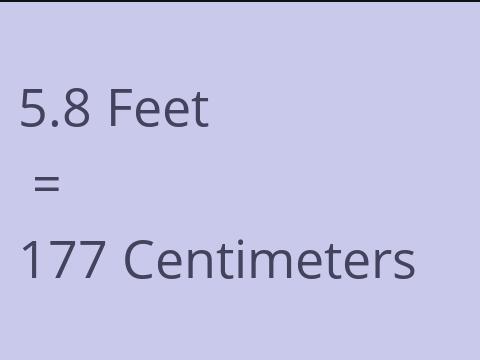 5.8 FEET TO CM