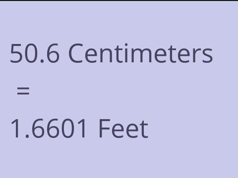 50.6 CM TO FEET