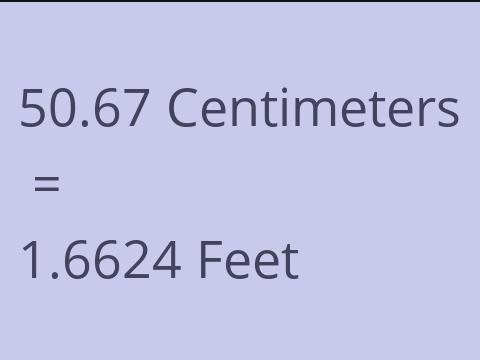 50.67 CM TO FEET