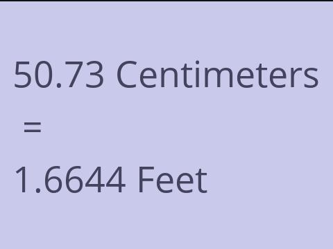 50.73 CM TO FEET