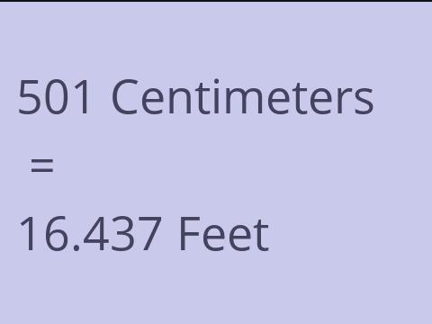 501 CM TO FEET