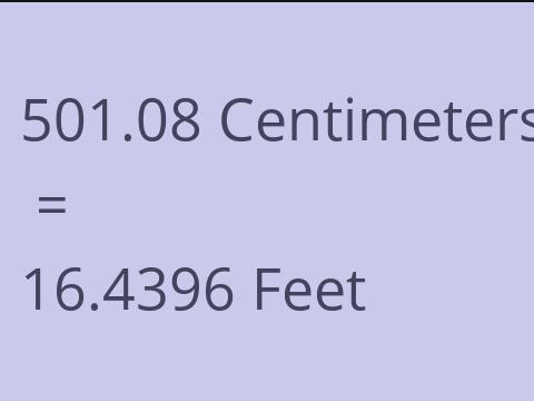 501.08 CM TO FEET