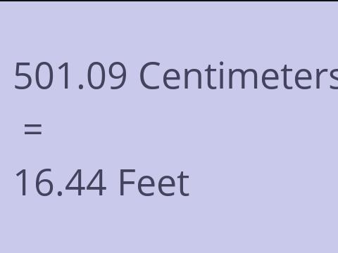 501.09 CM TO FEET