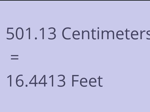 501.13 CM TO FEET