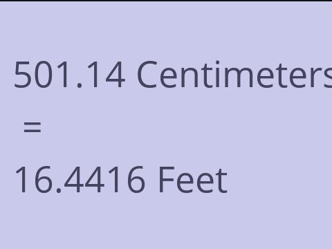 501.14 CM TO FEET