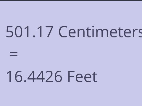 501.17 CM TO FEET