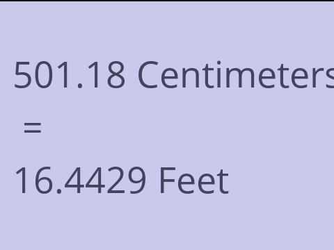 501.18 CM TO FEET