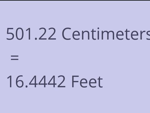 501.22 CM TO FEET