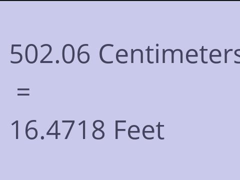 502.06 CM TO FEET