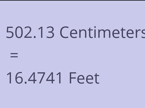 502.13 CM TO FEET