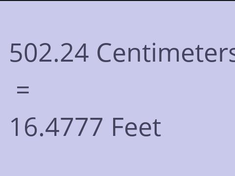 502.24 CM TO FEET