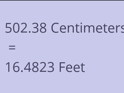 502.38 CM TO FEET