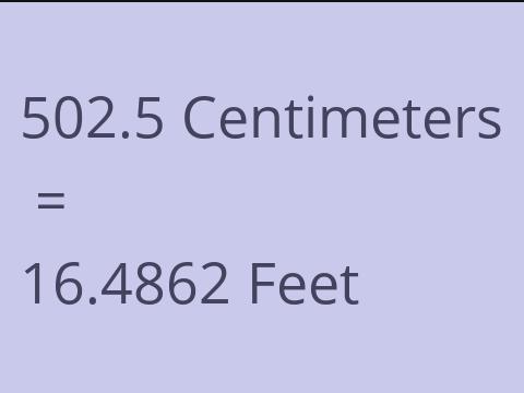 502.5 CM TO FEET