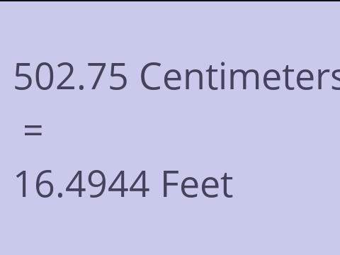 502.75 CM TO FEET