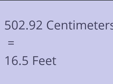 502.92 CM TO FEET