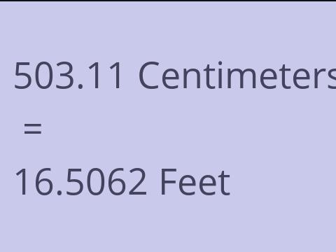 503.11 CM TO FEET