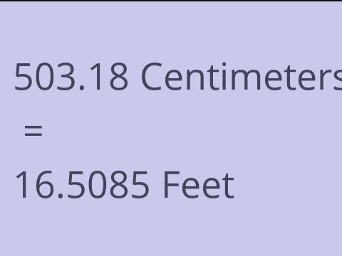 503.18 CM TO FEET