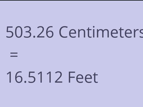 503.26 CM TO FEET