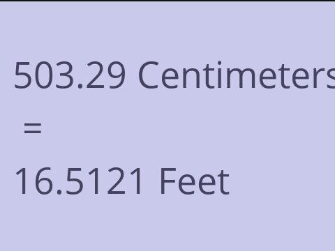 503.29 CM TO FEET