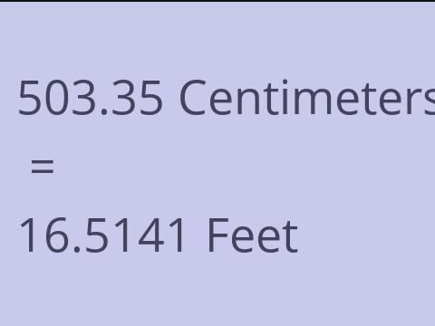 503.35 CM TO FEET