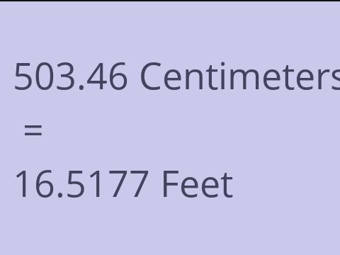 503.46 CM TO FEET