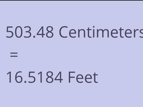 503.48 CM TO FEET