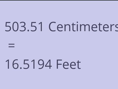 503.51 CM TO FEET