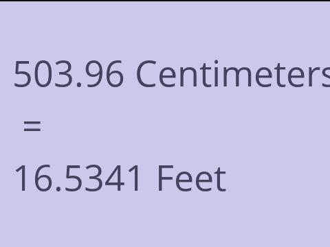 503.96 CM TO FEET