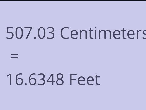 507.03 CM TO FEET