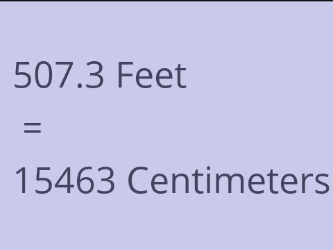 507.3 FEET TO CM