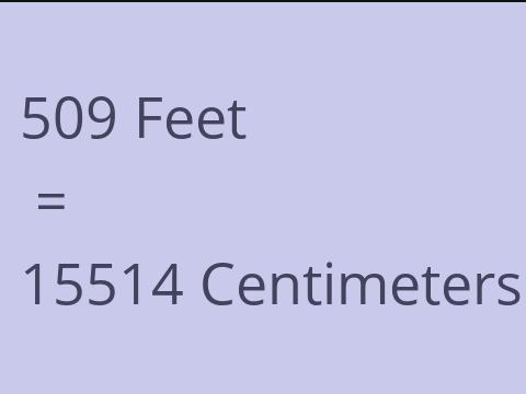 509 FEET TO CM