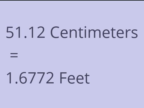 51.12 CM TO FEET