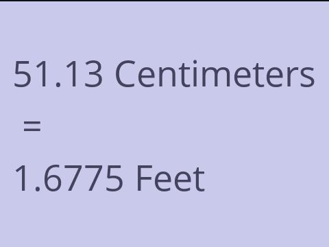 51.13 CM TO FEET