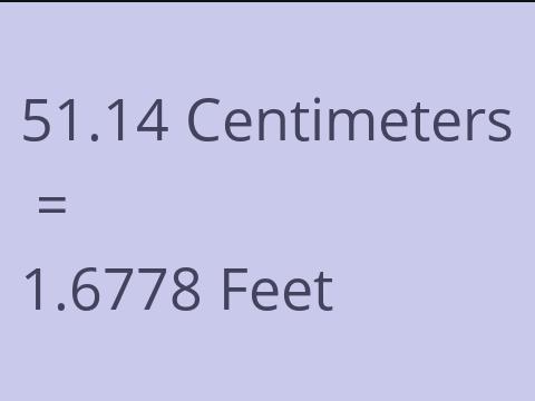 51.14 CM TO FEET