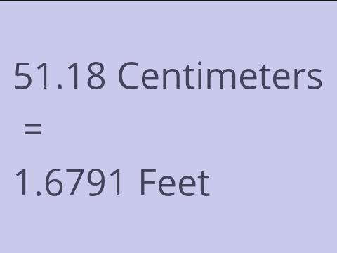 51.18 CM TO FEET