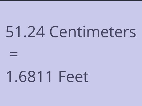 51.24 CM TO FEET